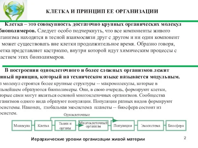 Клетка – это совокупность достаточно крупных органических молекул – биополимеров. Следует