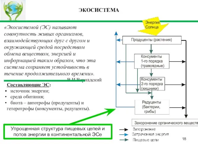 ЭКОСИСТЕМА «Экосистемой (ЭС) называют совокупность живых организмов, взаимодействующих друг с другом