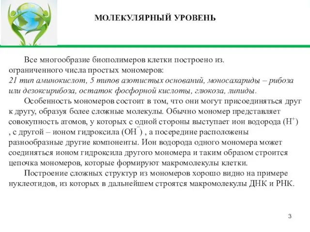 Все многообразие биополимеров клетки построено из. ограниченного числа простых мономеров: 21