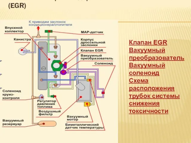 СИСТЕМА РЕЦИРКУЛЯЦИИ ОТРАБОТАВШИХ ГАЗОВ (EGR) Клапан EGR Вакуумный преобразователь Вакуумный соленоид