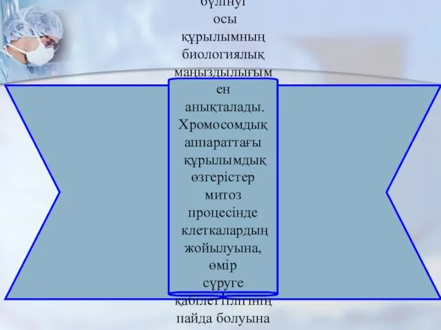 Ядро мен цитоплазманың радио сезгіштігі бірдей деп есептелінеді. Алайда, клетка ядросының