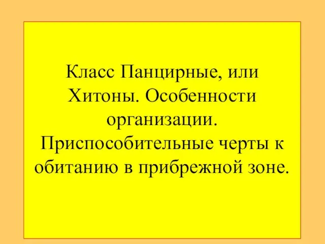 Класс Панцирные, или Хитоны. Особенности организации. Пpиспособительные чеpты к обитанию в пpибpежной зоне.