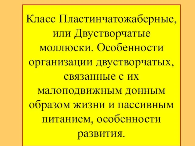 Класс Пластинчатожаберные, или Двустворчатые моллюски. Особенности оpганизации двуствоpчатых, связанные с их