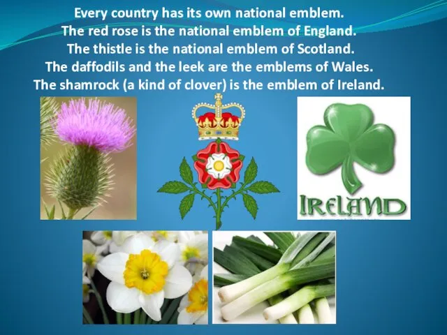 Every country has its own national emblem. The red rose is