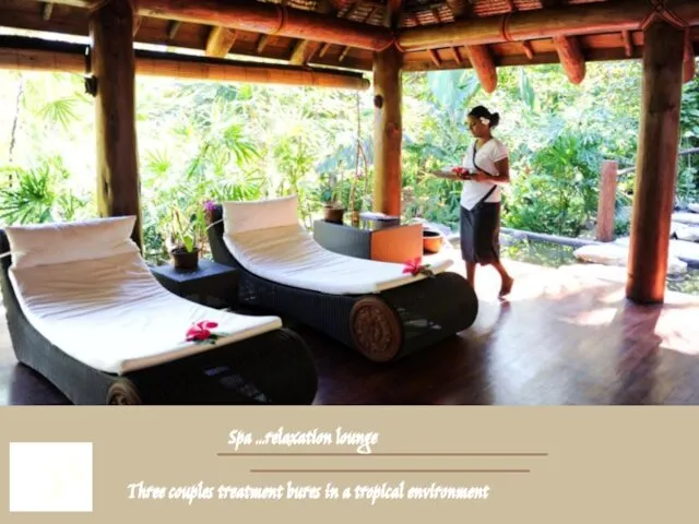 Spa …relaxation lounge Three couples treatment bures in a tropical environment