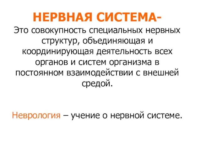 НЕРВНАЯ СИСТЕМА- Это совокупность специальных нервных структур, объединяющая и координирующая деятельность