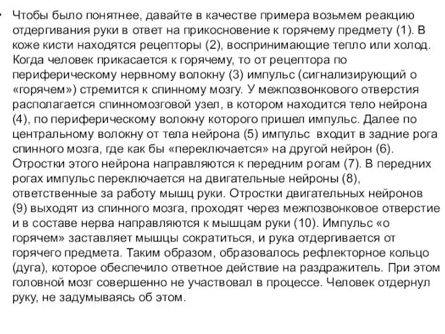 Чтобы было понятнее, давайте в качестве примера возьмем реакцию отдергивания руки