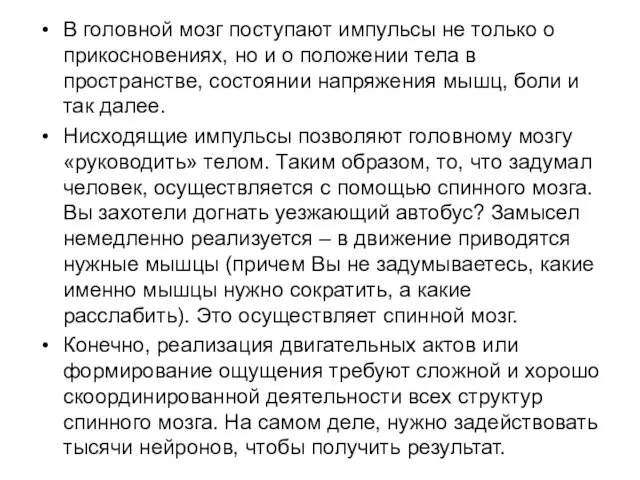 В головной мозг поступают импульсы не только о прикосновениях, но и