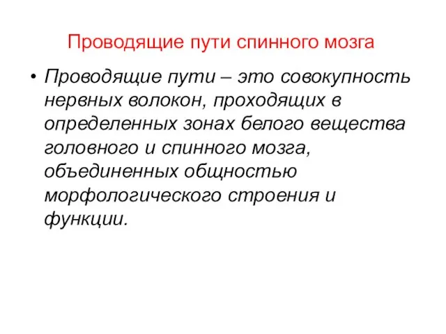 Проводящие пути спинного мозга Проводящие пути – это совокупность нервных волокон,