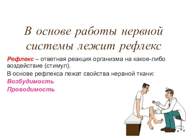 В основе работы нервной системы лежит рефлекс Рефлекс – ответная реакция