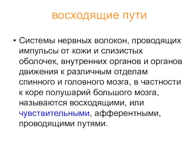 восходящие пути Системы нервных волокон, проводящих импульсы от кожи и слизистых