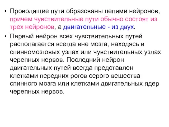 Проводящие пути образованы цепями нейронов, причем чувствительные пути обычно состоят из