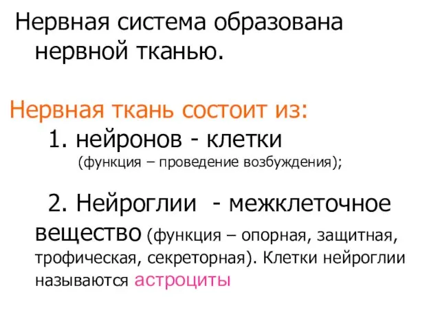 Нервная система образована нервной тканью. Нервная ткань состоит из: 1. нейронов