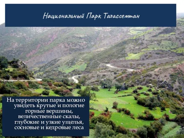 Национальный Парк Талассемтан На территории парка можно увидеть крутые и пологие