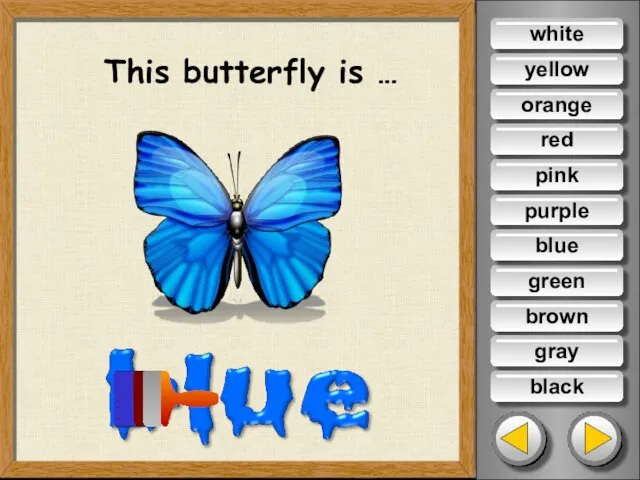 This butterfly is … white yellow orange red pink purple green brown gray black blue