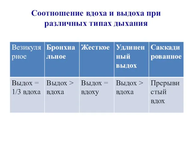 Соотношение вдоха и выдоха при различных типах дыхания