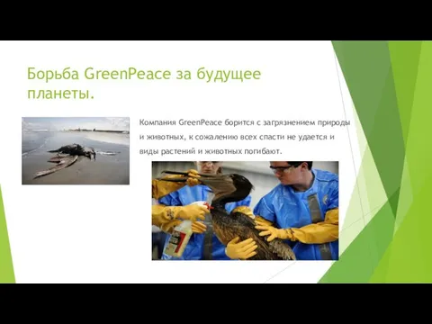 Борьба GreenPeace за будущее планеты. Компания GreenPeace борится с загрязнением природы