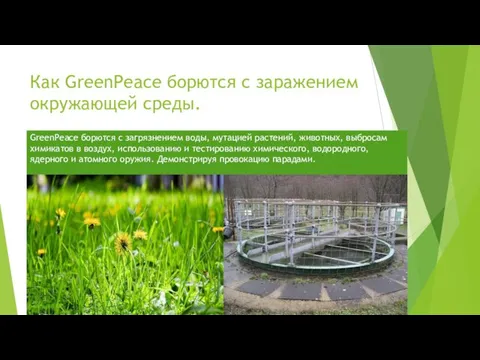 Как GreenPeace борются с заражением окружающей среды. GreenPeace борются с загрязнением