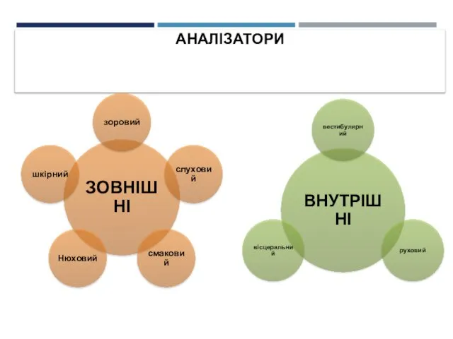 АНАЛІЗАТОРИ