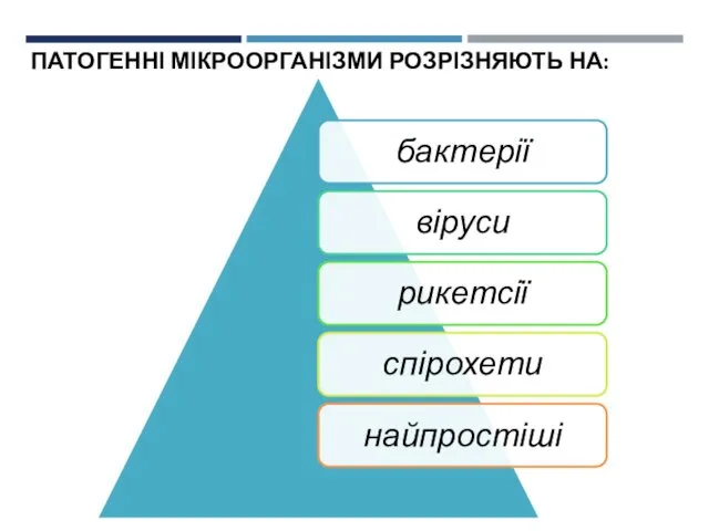 ПАТОГЕННІ МІКРООРГАНІЗМИ РОЗРІЗНЯЮТЬ НА: