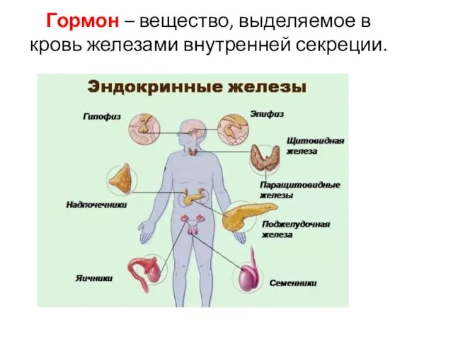 Гормон – вещество, выделяемое в кровь железами внутренней секреции.