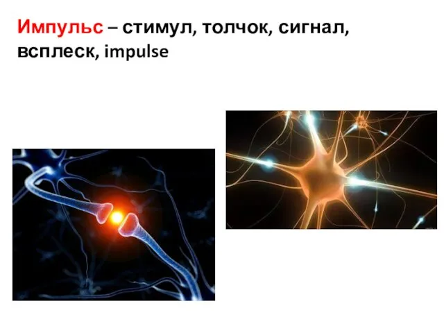 Импульс – стимул, толчок, сигнал, всплеск, impulse