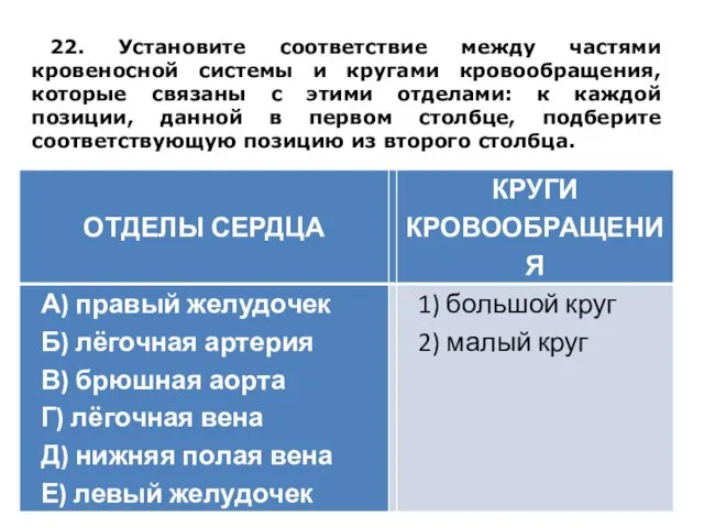 22. Установите соответствие между частями кровеносной системы и кругами кровообращения, которые