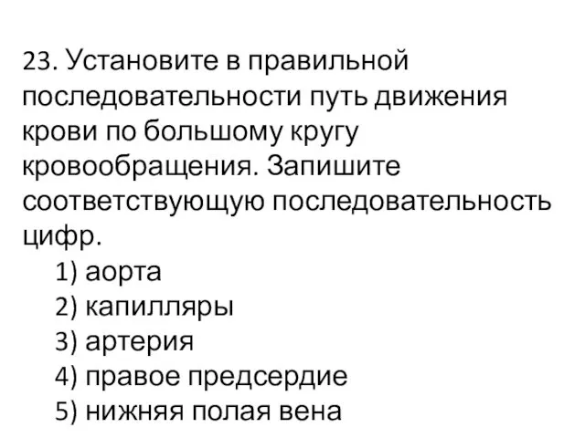 23. Установите в правильной последовательности путь движения крови по большому кругу