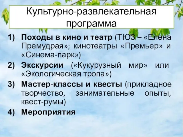 Культурно-развлекательная программа Походы в кино и театр (ТЮЗ – «Елена Премудрая»;