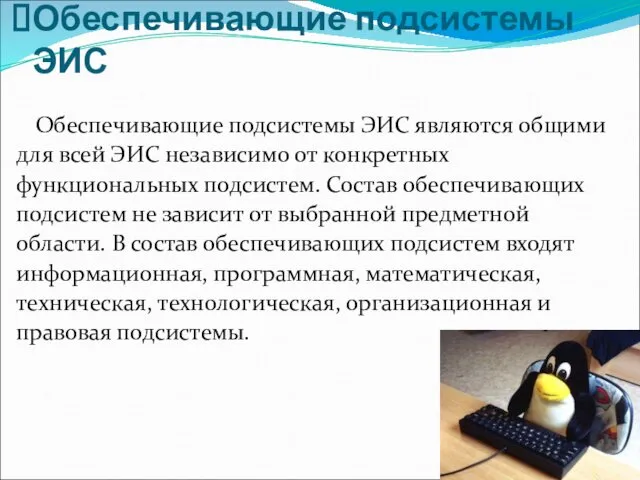 Обеспечивающие подсистемы ЭИС являются общими для всей ЭИС независимо от конкретных