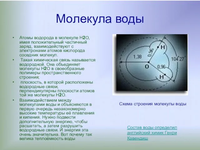 Молекула воды Атомы водорода в молекуле H2О, имея положительный частичный заряд,