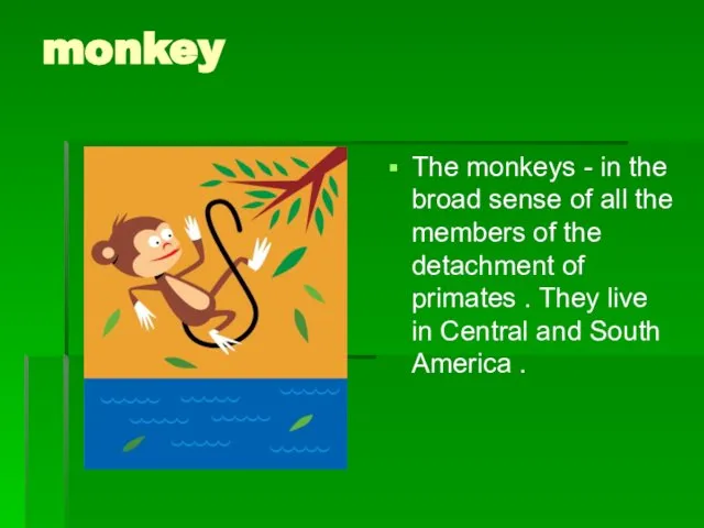 monkey The monkeys - in the broad sense of all the