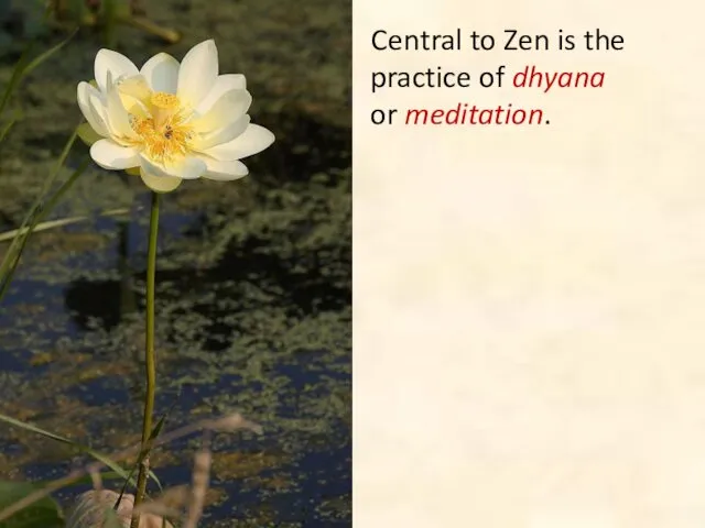 Central to Zen is the practice of dhyana or meditation.