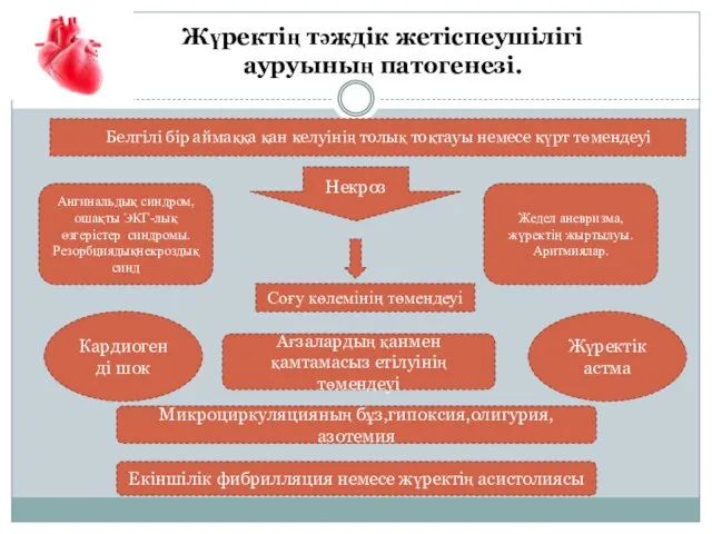 Жүректің тәждік жетіспеушілігі ауруының патогенезі. Белгілі бір аймаққа қан келуінің толық