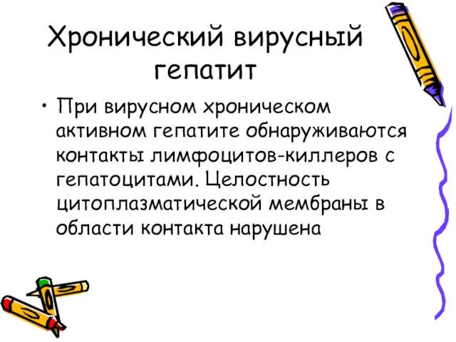 Хронический вирусный гепатит При вирусном хроническом активном гепатите обнаруживаются контакты лимфоцитов-киллеров