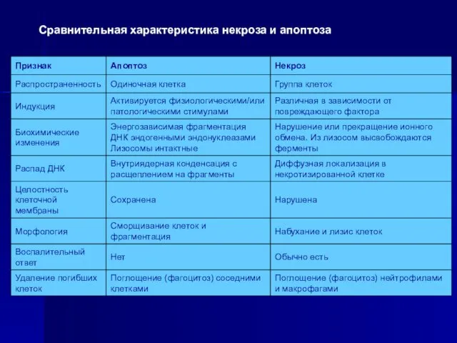 Сравнительная характеристика некроза и апоптоза