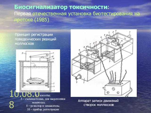 10.08.08 Биосигнализатор токсичности: Первая отечественная установка биотестирования на протоке (1985) Принцип