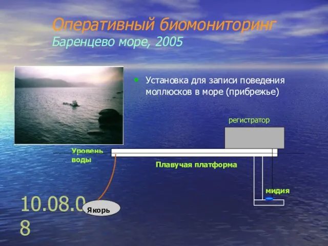 10.08.08 Оперативный биомониторинг Баренцево море, 2005 Установка для записи поведения моллюсков в море (прибрежье)