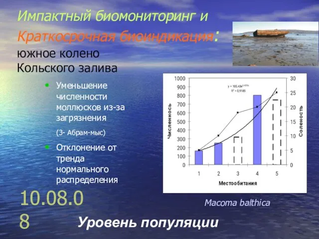 10.08.08 Импактный биомониторинг и Краткосрочная биоиндикация: южное колено Кольского залива Уменьшение