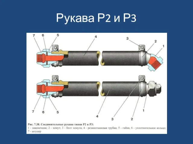 Рукава Р2 и Р3