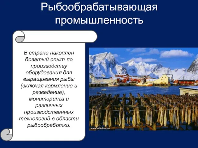 Рыбообрабатывающая промышленность В стране накоплен богатый опыт по производству оборудования для