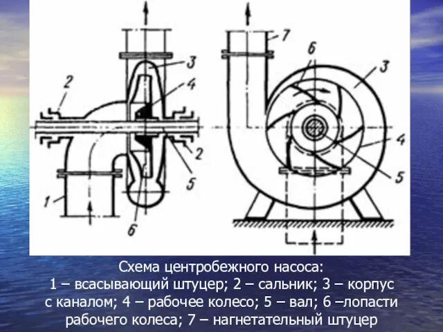 Схема центробежного насоса: 1 – всасывающий штуцер; 2 – сальник; 3