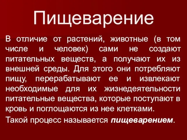 Пищеварение В отличие от растений, животные (в том числе и человек)