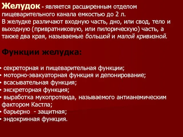 Желудок - является расширенным отделом пищеварительного канала емкостью до 2 л.