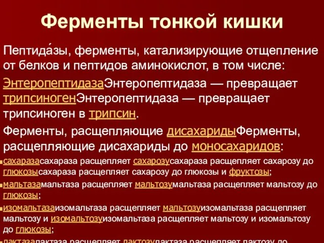 Ферменты тонкой кишки Пептида́зы, ферменты, катализирующие отщепление от белков и пептидов