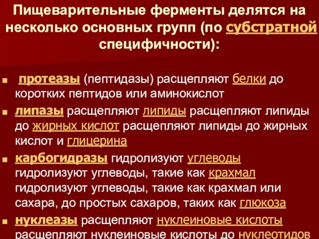 Пищеварительные ферменты делятся на несколько основных групп (по субстратной специфичности): протеазы