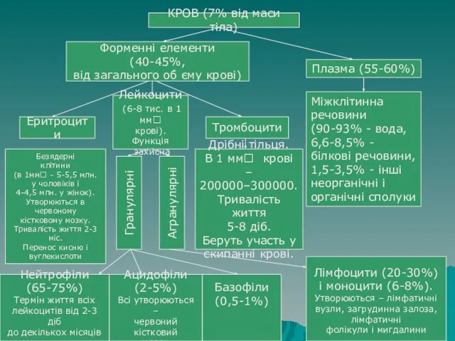 КРОВ (7% від маси тіла) Форменні елементи (40-45%, від загального об́