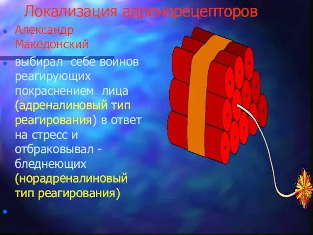 Локализация адренорецепторов Александр Македонский выбирал себе воинов реагирующих покраснением лица (адреналиновый