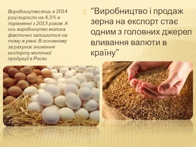 Виробництво яєць в 2014 році виросло на 4,3% в порівнянні з