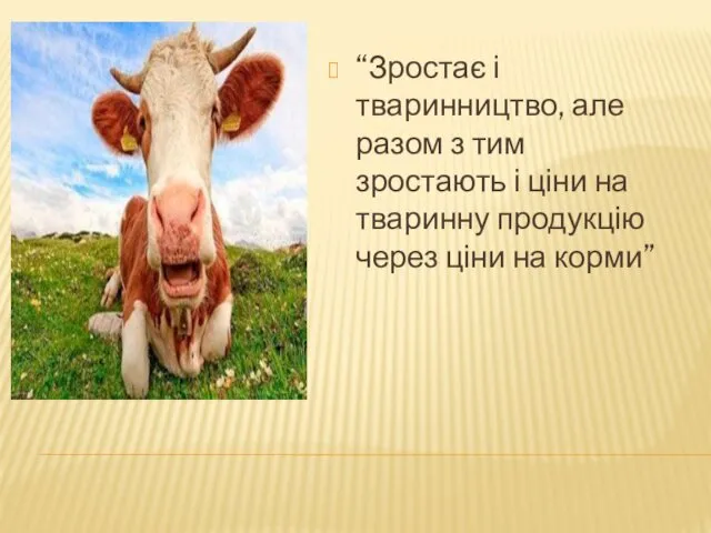 “Зростає і тваринництво, але разом з тим зростають і ціни на